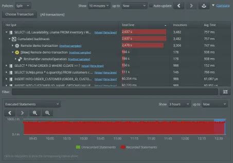 EJ Technologies Perfino 4.1